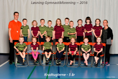 KRUDTUGLERNE-1