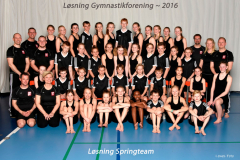 LOeSNING-SPRINGTEAM-1