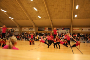 LGF Opvisning 2009