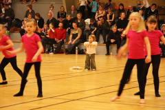 Opvisning2009112