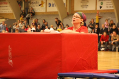 Opvisning2009116