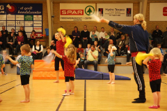 Opvisning2009118