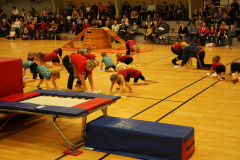 Opvisning2009120