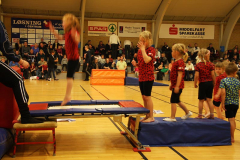 Opvisning2009123