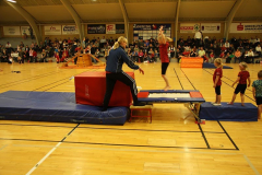 Opvisning2009124