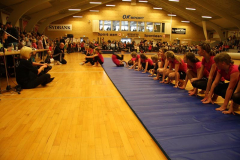 Opvisning2009130