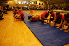 Opvisning2009134