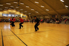 Opvisning2009139