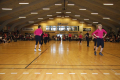 Opvisning2009142