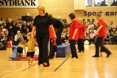 Opvisning200933