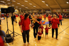 Opvisning200935