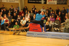 Opvisning200973
