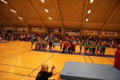 Opvisning200977