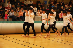 Opvisning200978