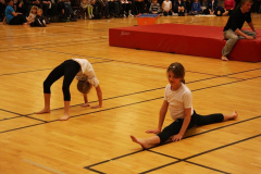 Opvisning200981