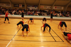 Opvisning200989