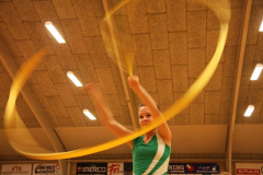 Opvisning2009Powerholdet8