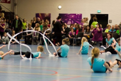 03102012013_LGF-1