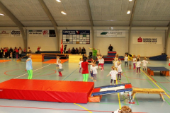 03102012077_LGF-1