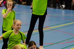 Opvisning-2013-106