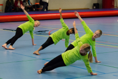 Opvisning-2013-114