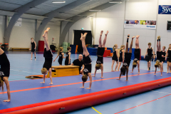 Opvisning-2013-118