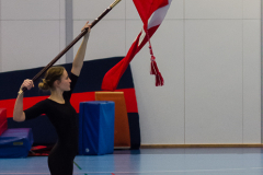 Opvisning-2013-82