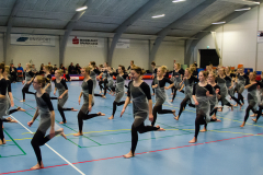 Opvisning-2013-88
