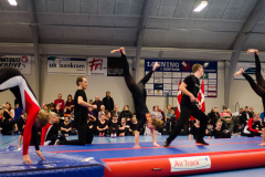 Opvisning-2013-90