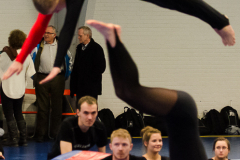 Opvisning-2013-94